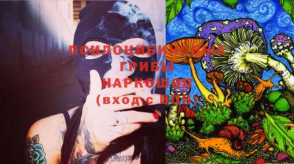 хмурый Абинск