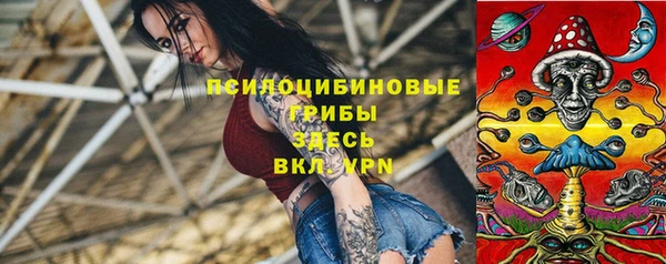 хмурый Абинск