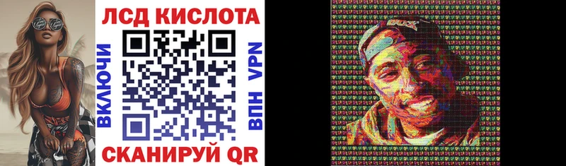 Наркотические марки 1,8мг  маркетплейс клад  Заводоуковск  где найти наркотики 