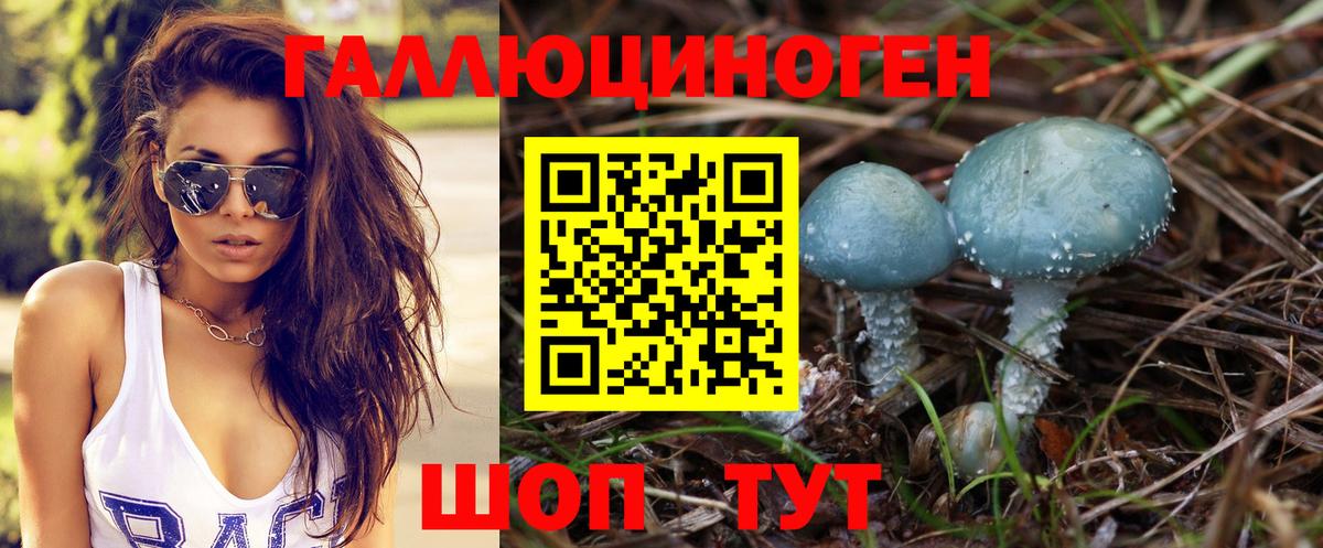 Псилоцибиновые грибы ЛСД Заводоуковск