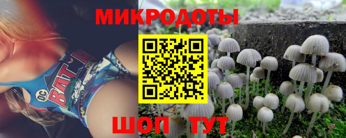 Заводоуковск  Галлюциногенные грибы мицелий  Вход с VPN 