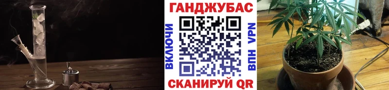 Канабис гибрид Заводоуковск